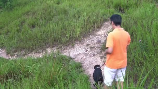 成年人把他的狗牵到山坡上 — 图库视频影像