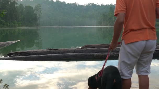 看到成年男子和他的宠物狗走进湖中时的倒影 背阴的森林美景 — 图库视频影像