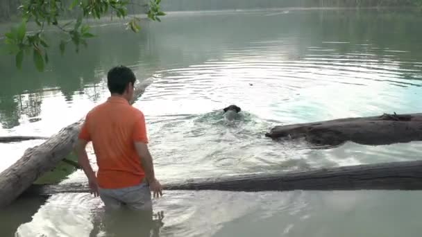Perro Jugar Lago Agua Con Hombre Adulto Para Recuperar Perseguir — Vídeo de stock