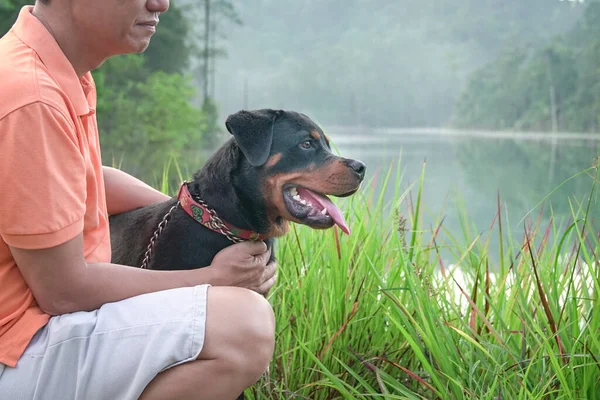 ロットウィラーの子犬の犬と男の肖像画 サイドビュー 自然と湖の背景 — ストック写真