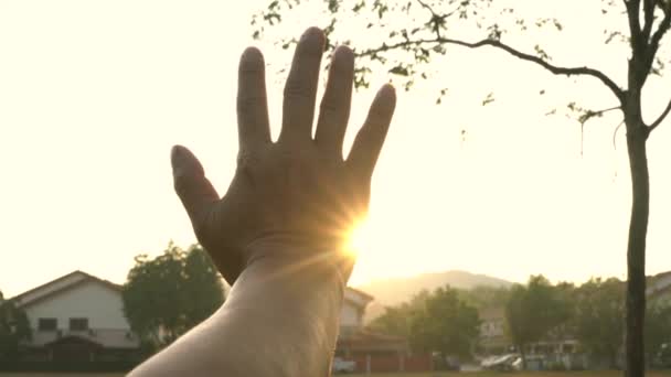 Güneşe Dokun Nsan Eli Sabah Güneşinden Gelen Güneş Işınlarıyla Kalkar — Stok video