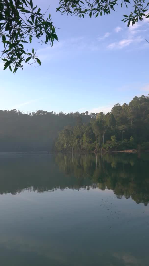 Lago Com Floresta Reflexão Bela Natureza Tranquila Fundo Vídeo Vertical — Vídeo de Stock