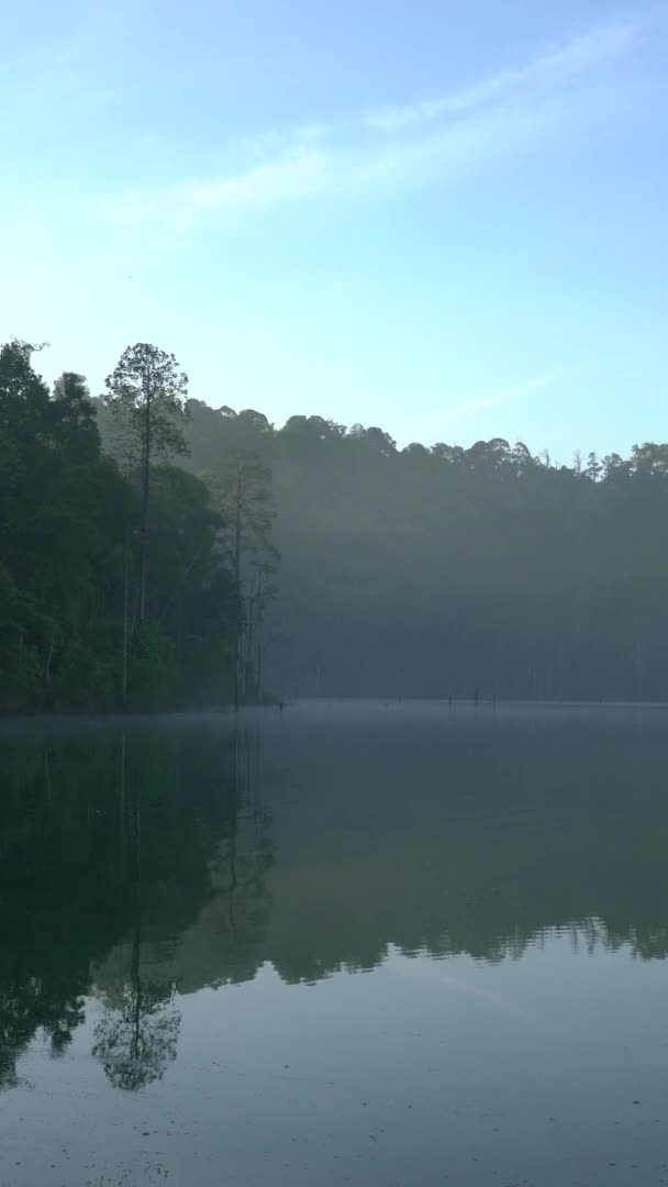 Lago Con Bosque Reflexión Hermoso Fondo Naturaleza Tranquila Vídeo Vertical — Vídeo de stock