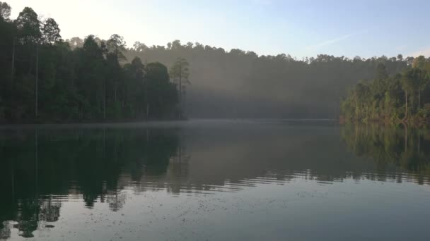 Lago Con Bosque Reflexión Hermosa Naturaleza Tranquila Fondo — Vídeos de Stock