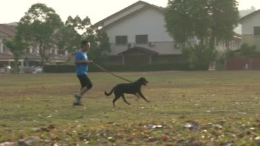 Tarlada evcil köpekle koşan bir adam, gündoğumu ve arka planda evleri olan bir adam..