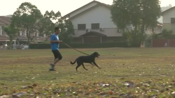 Man Kör Med Sällskapsdjur Hund Fält Med Soluppgång Och Bostadshus — Stockvideo