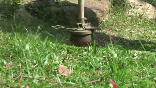 잔디깎는 기계로 잔디깎는 각도를 낮추고 조원술 여름철의 — 비디오