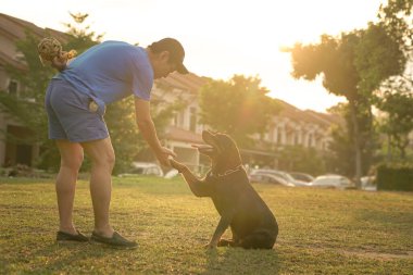 Adam el sıkışarak köpek patisine dokunuyor. Arka planda gün doğumu.