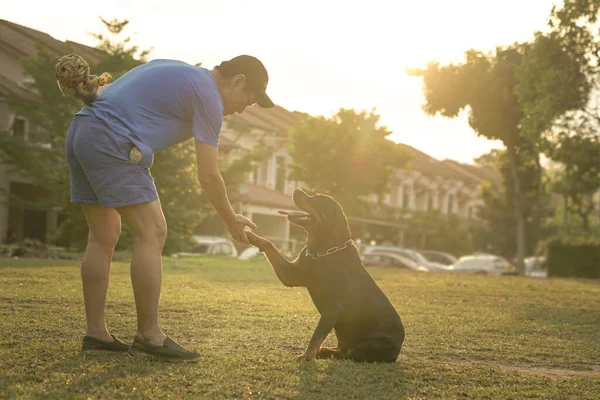 Mann Berührt Hund Pfote Hand Zitternde Geste Morgensonnenaufgang Hintergrund — Stockfoto