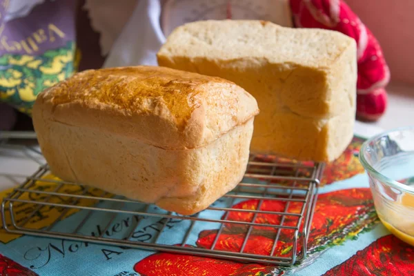 Huisgemaakte wit brood — Stockfoto