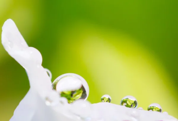 Gotas de água — Fotografia de Stock