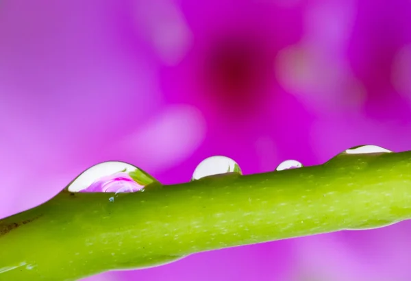 Water droplets — Stock Photo, Image