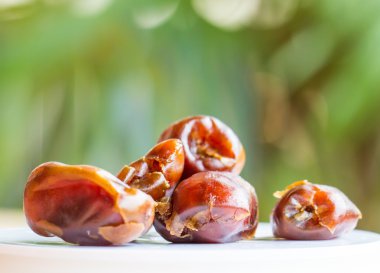 kurutulmuş tarihleri