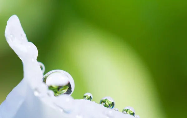 Fundo de gotas de água — Fotografia de Stock