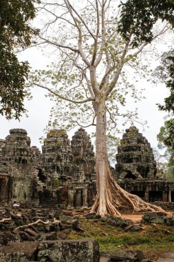 Angkor Wat antik bir tapınak