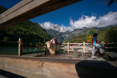 Lijiang, Çin - 14 Ekim 2025: Mavi Ay Vadisi 'nin göl kenarındaki manzarası.