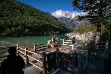 Lijiang, Çin - 14 Ekim 2025: Mavi Ay Vadisi 'nin göl kenarındaki manzarası.