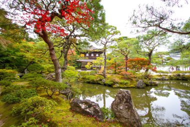 Ginkaku-ji Pavilion gümüş