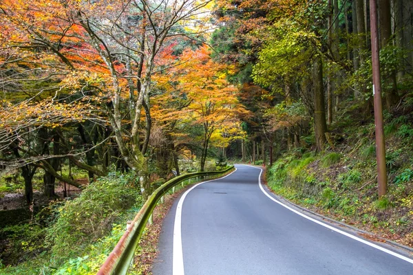 Kolory jesieni w Kioto w Japonii — Zdjęcie stockowe
