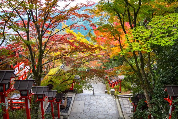 Kurama Shrine, Kyoto