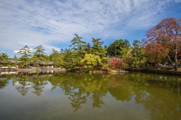 Φθινόπωρο χρώματα σε Κιότο — Φωτογραφία Αρχείου
