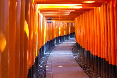 Fushimi Inari Taisha Tapınak, Kyoto, Japonya
