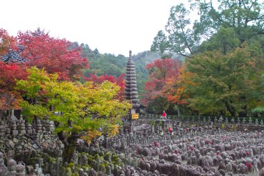 Bir fincan kahve bir restoranda sahip