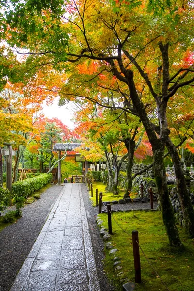 Krásné podzimní barvy v Kjótu, Japonsko — Stock fotografie