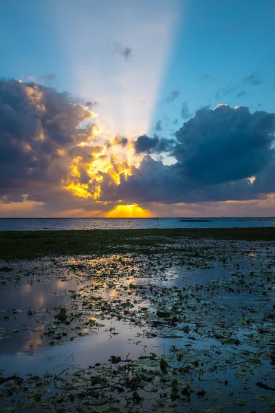 Sunrise at Thale noi lake — Stock Photo, Image