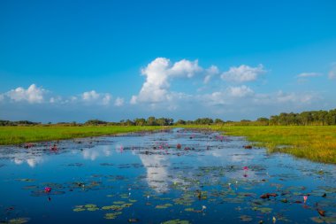Göl üzerinde bulutlar yansıma