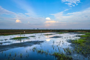 mavi gökyüzünün yansıması