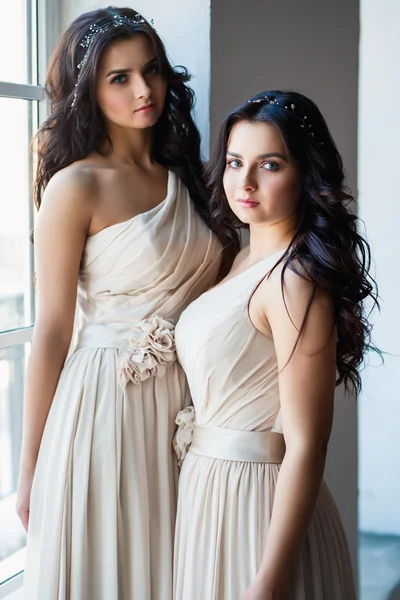 Hermosas gemelas mujeres jóvenes en vestidos de noche magníficos en un loft espacio en una mañana —  Fotos de Stock