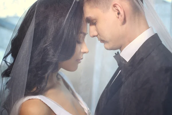 Bride and groom - wedding elegant photo. Couple together under bridal veil — Stock fotografie