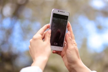 kadın bir smartphone telefon çiçek açması bahar ağaç arka plan üzerinde yumuşak odak tutar, yakın çekim