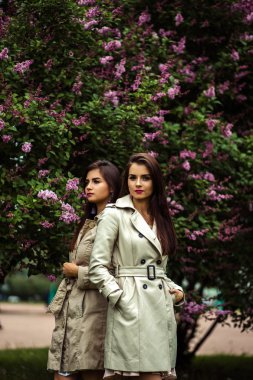 İki güzel genç kadınlarda siper kat çiçek leylak yakınındaki İkizler