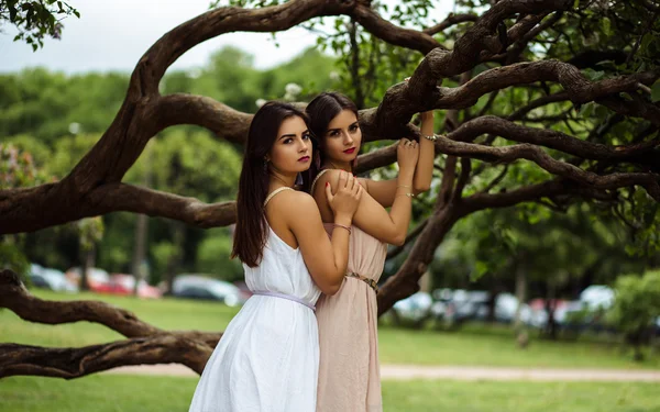 Zwei schöne Zwillinge junge Frauen in Sommerkleidern in der Nähe blühenden Flieders — Stockfoto