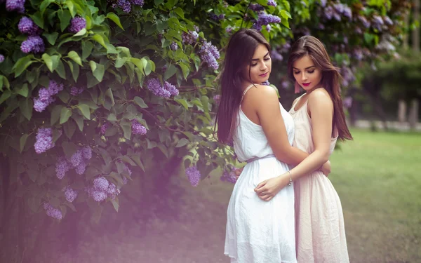 Två vackra tvillingar unga kvinnor i sommar klänningar nära blommande Syren — Stockfoto