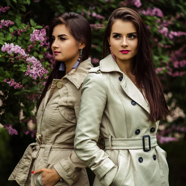 Дві красиві близнюки молоді жінки в траншеї пальто поблизу квітучого бузку — стокове фото