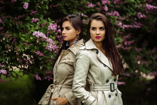 Dvě krásné dvojčata mladých žen v příkop kabáty poblíž kvetoucí šeřík — Stock fotografie