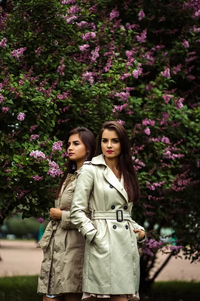 Dois belos gêmeos mulheres jovens em casacos de trincheira perto de floração lilás — Fotografia de Stock