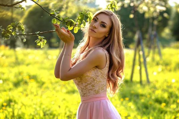 Beautiful young woman in a summer dress near blooming trees — Stock Photo, Image
