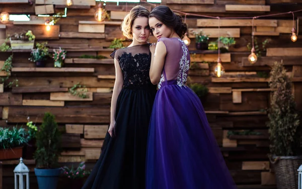 Портрет красивих близнюків молодих жінок у чудових вечірніх сукнях — стокове фото