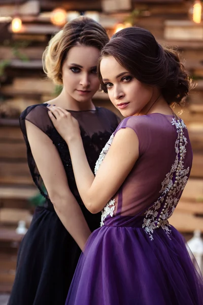Retrato de hermosas gemelas mujeres jóvenes en vestidos de noche magníficos —  Fotos de Stock