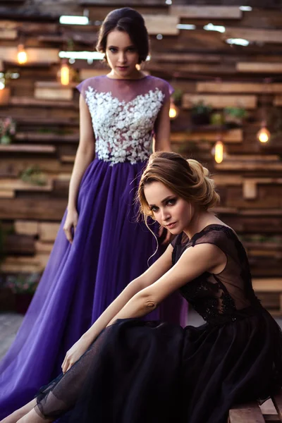 Retrato de hermosas gemelas mujeres jóvenes en vestidos de noche magníficos — Foto de Stock