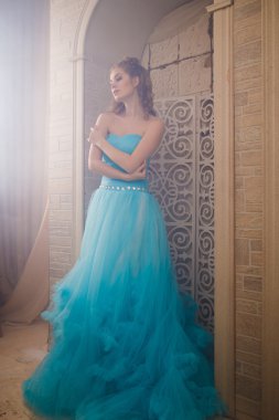 Muhteşem mavi uzun elbiseli güzel genç kadın mükemmel makyajlı ve saç stili olan Cinderella gibi.