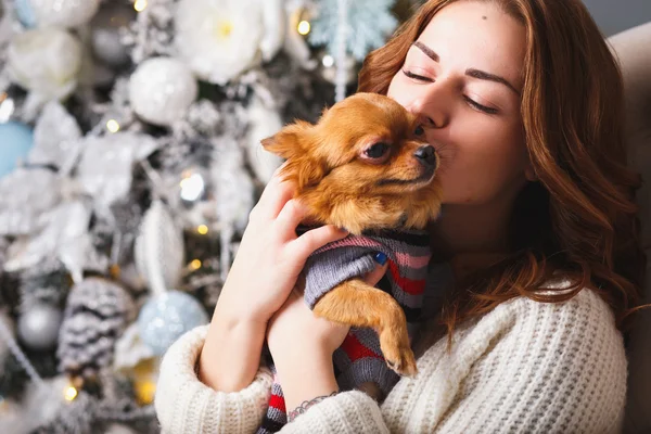 Porträt eines Mädchens in weißen Kleidern mit einem kleinen Hund zusammen über hellem weihnachtlichem Hintergrund — Stockfoto