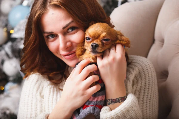 Portrait of a girl in white clothes with a little dog together over light christmas background Stock Image