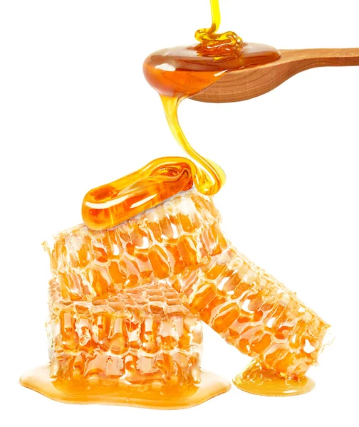 Favo de mel isolado branco — Fotografia de Stock