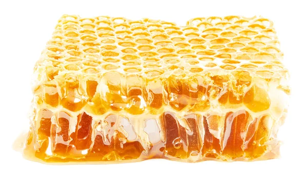 Honeycombs isolated on white — Stock Photo, Image