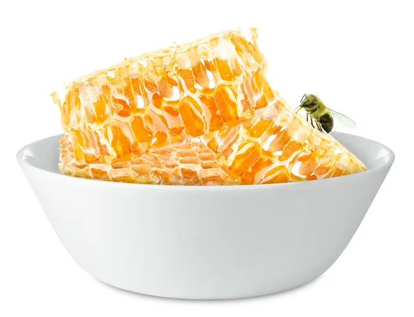 Honeycombs in a bowl — Stock Photo, Image